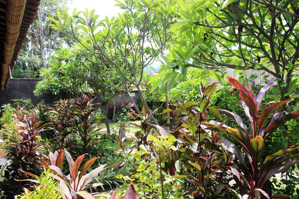 Pondok Shindu Guest House Pemuteran  Luaran gambar